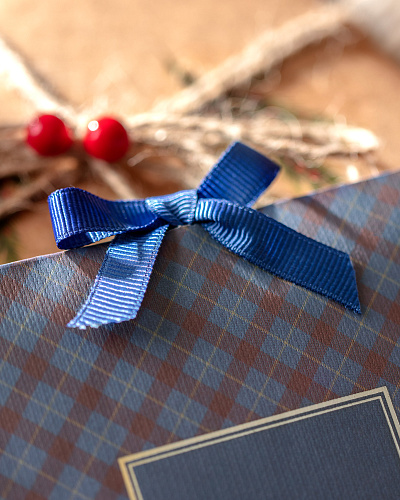 Ароматическое саше Repertoire