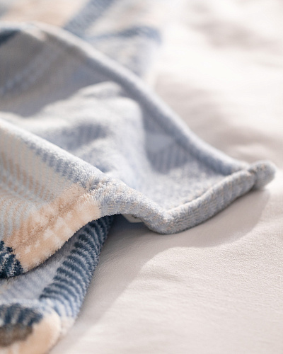 Плед Delit Welsoft с принтом 200x220 см. - голубой / бежевый