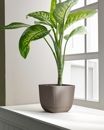 Горшок для цветов Abella 4000 мл. - коричневый