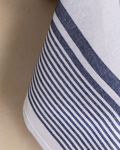 Набор кухонных полотенец Andre из 2 шт., 40x60 см. - белый / синий