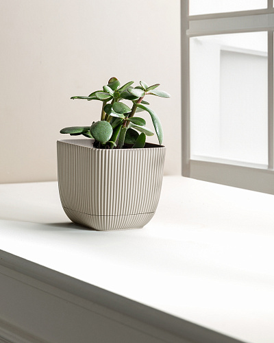 Горшок для цветов Abella 670 мл. - светло-бежевый