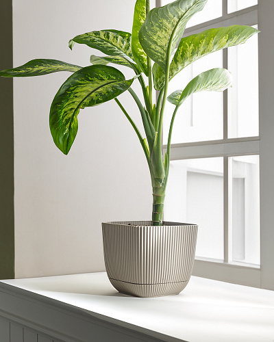 Горшок для цветов Abella 4000 мл. - светло-бежевый