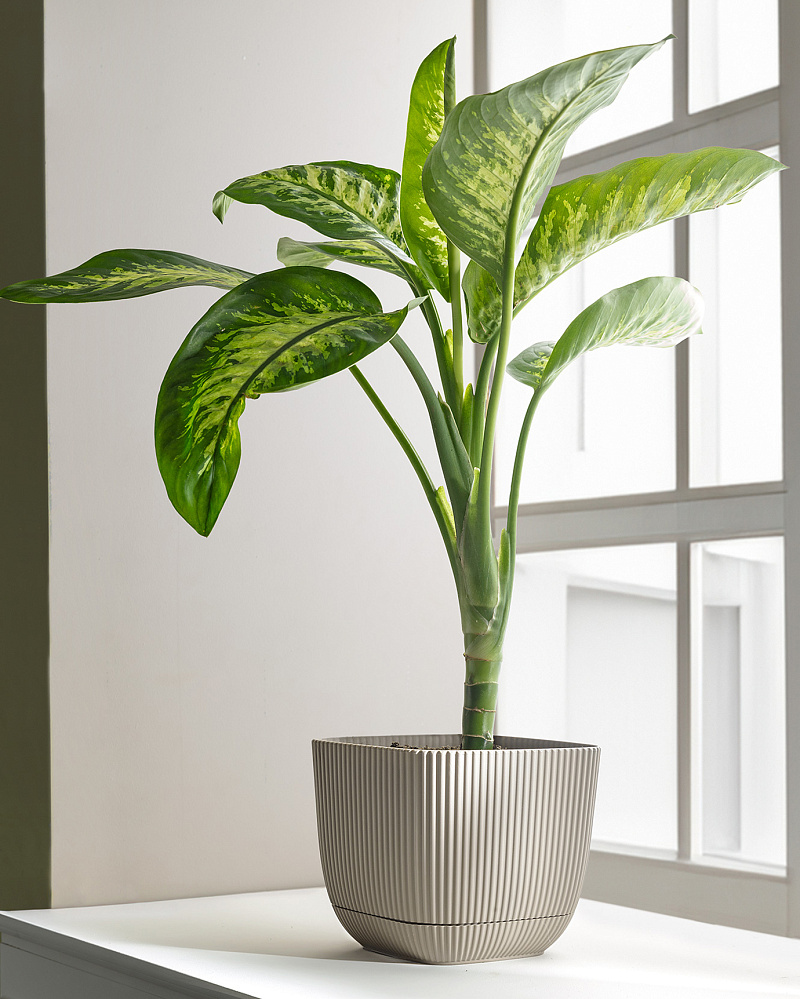 Горшок для цветов Abella 4000 мл. - светло-бежевый