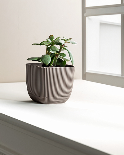 Горшок для цветов Abella 670 мл. - коричневый