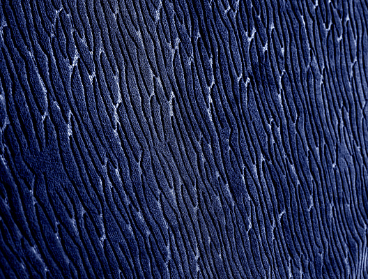 Плед Jacques Welsoft 200х220 см. - темно-синий