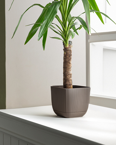 Горшок для цветов Abella 1800 мл. - коричневый