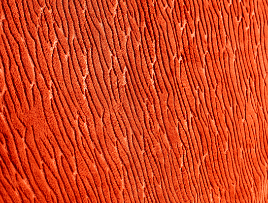 Плед Cyrus Welsoft 200х220 см. - оранжевый