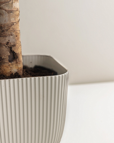 Горшок для цветов Abella 1800 мл. - светло-бежевый