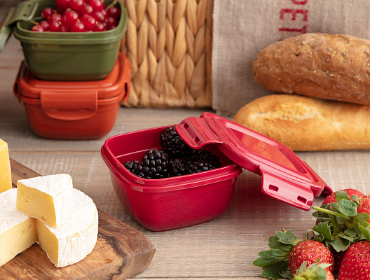 Контейнер квадратный Daily, 275 мл - красный