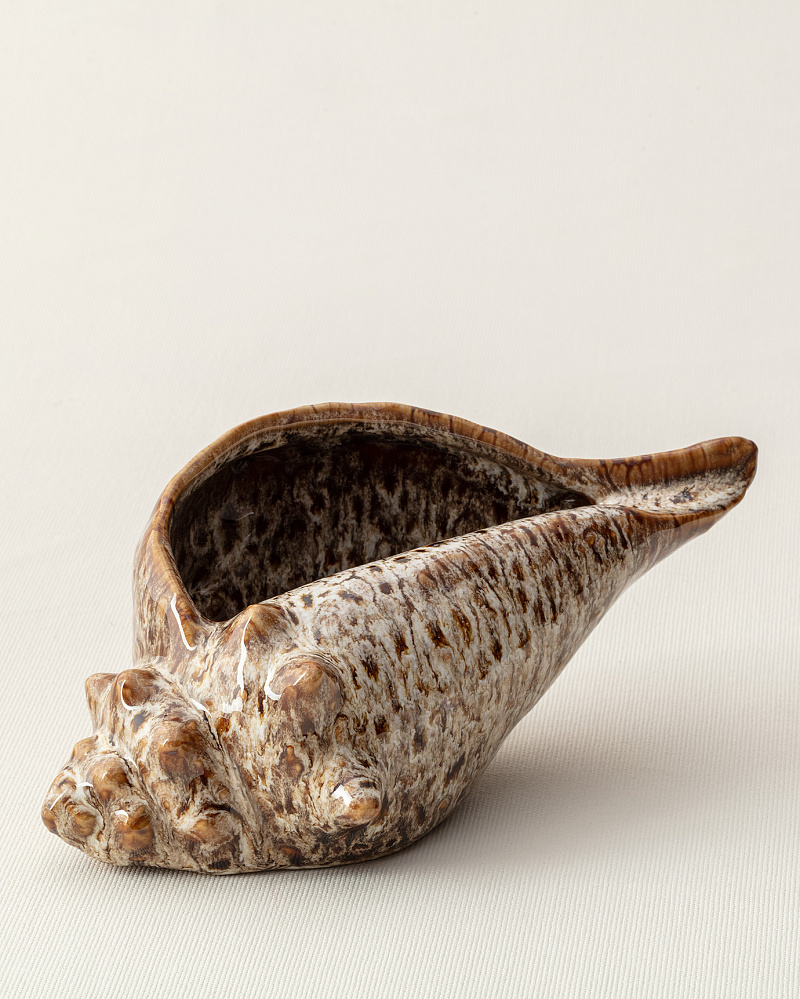 Декоративный ракушка 19,8x11,3x8,5 см. - коричневый