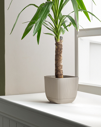 Горшок для цветов Abella 1800 мл. - светло-бежевый