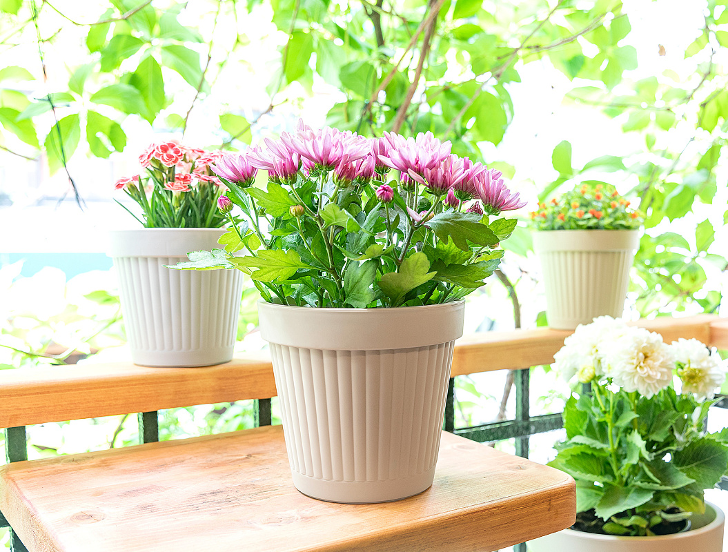 Горшок для цветов Jolıe 2300 мл. - светло-бежевый