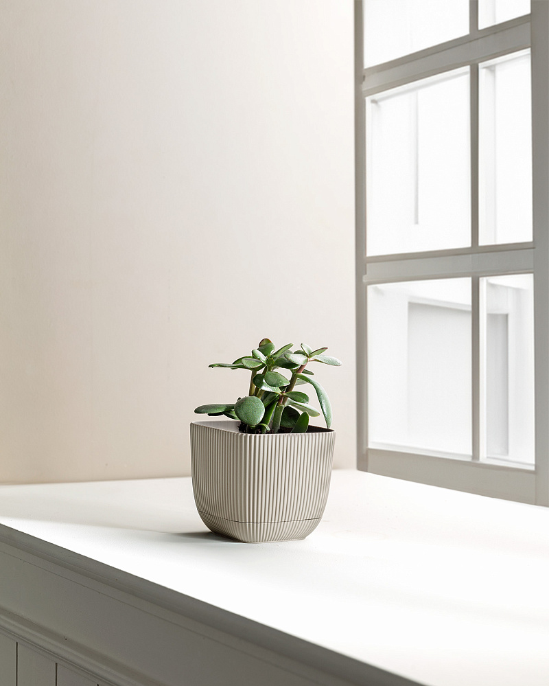 Горшок для цветов Abella 670 мл. - светло-бежевый