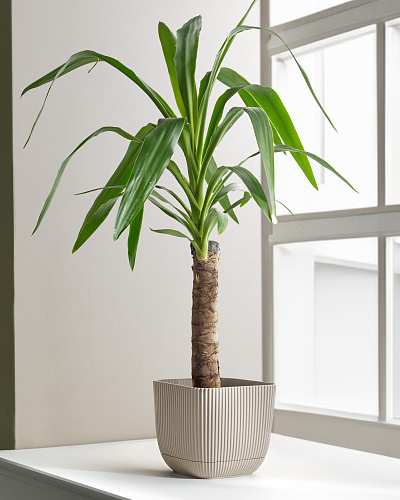 Горшок для цветов Abella 1800 мл. - светло-бежевый