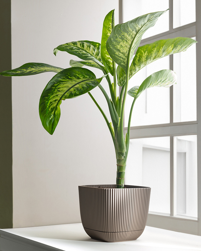 Горшок для цветов Abella 4000 мл. - коричневый