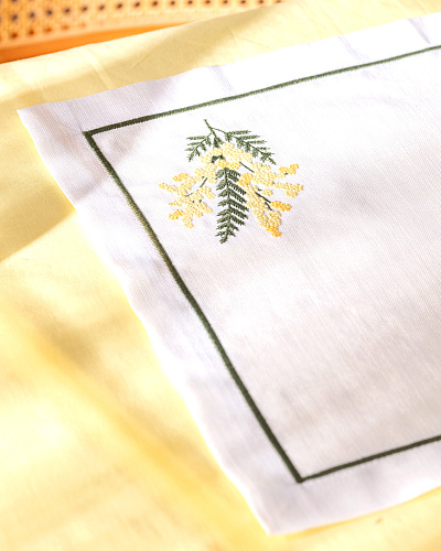 Набор сервировочных ковриков Berthem 32x48 см, полиэстер