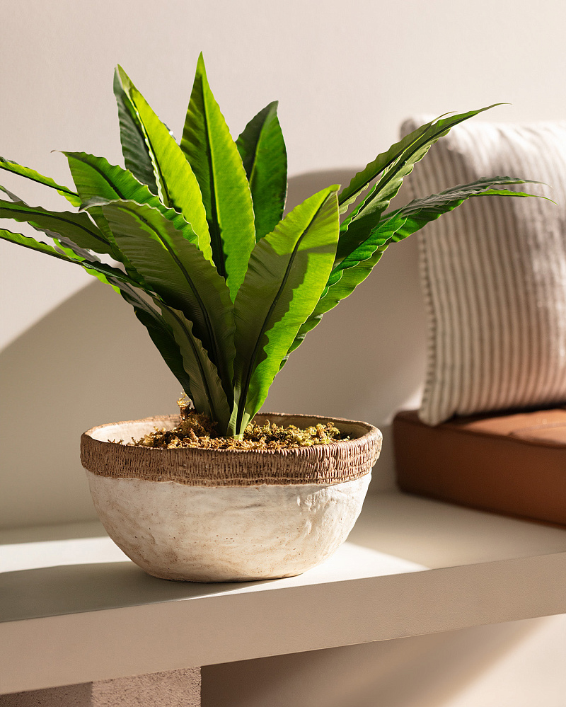 Кашпо Valerie 28,5x28,5x14,5 см. - белый / бежевый