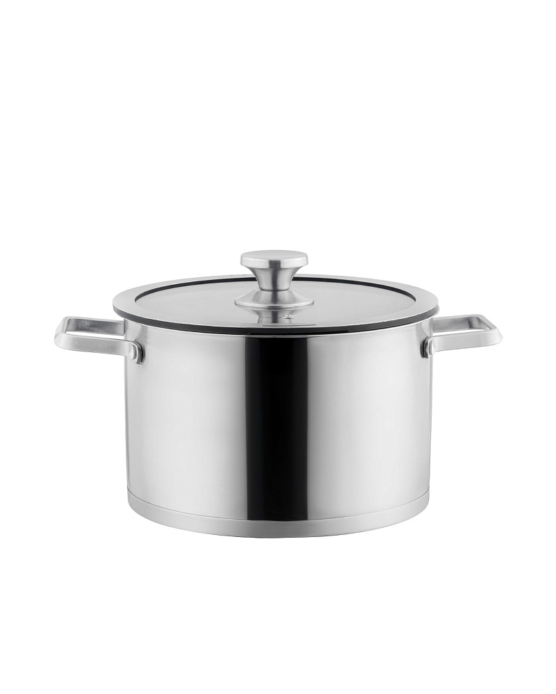 Кастрюля Raye с крышкой 22x13,5 см. - нержавеющая сталь